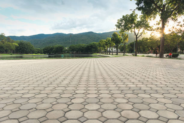 Best Driveway Paving Contractor  in Christopher, IL
